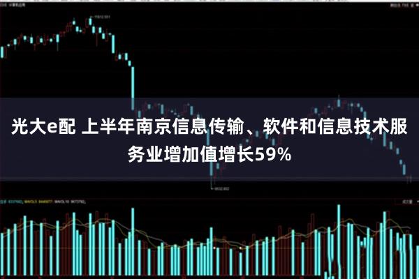 光大e配 上半年南京信息传输、软件和信息技术服务业增加值增长59%